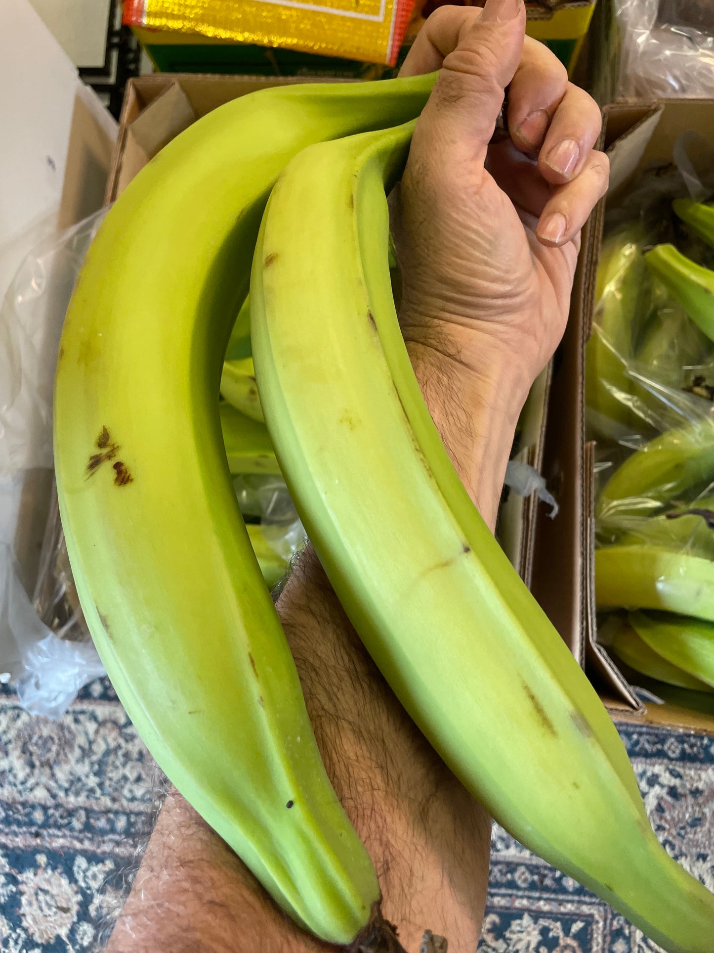 Horn Plantains - Class 1 - Green (12kg)