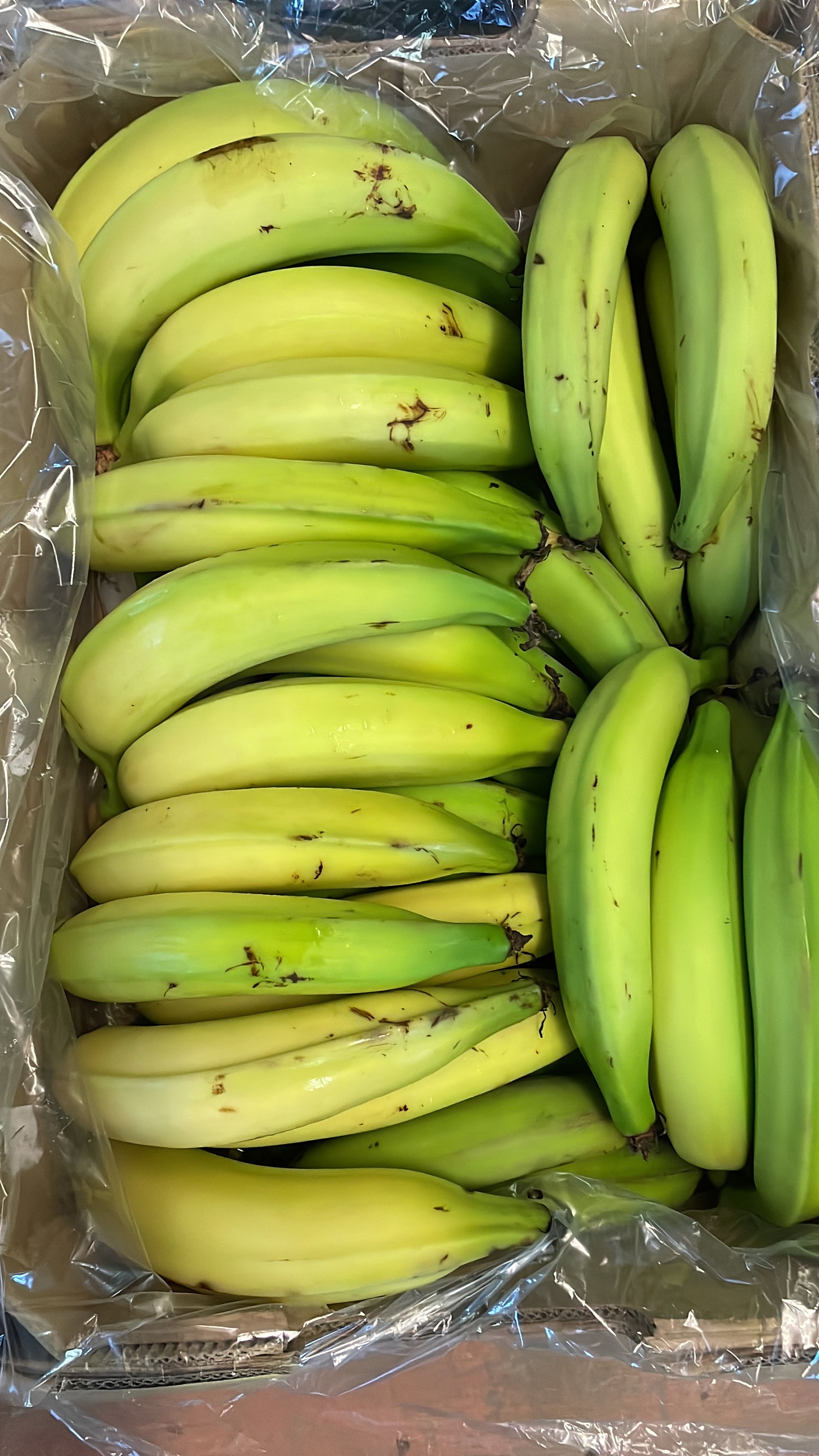 Horn Plantains - Class 1 - Green (12kg)