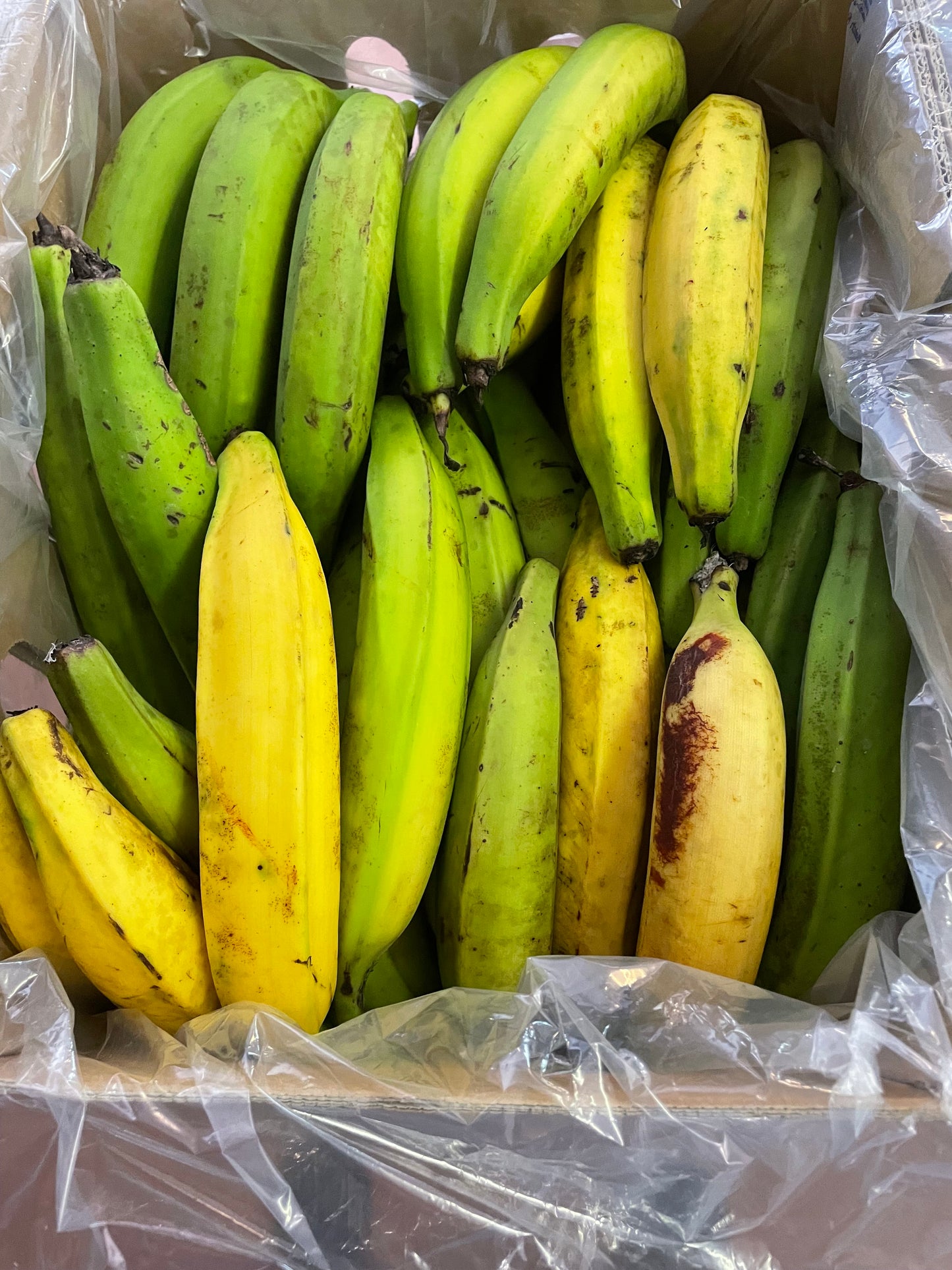Horn Plantains - Class 1 - Green (12kg)