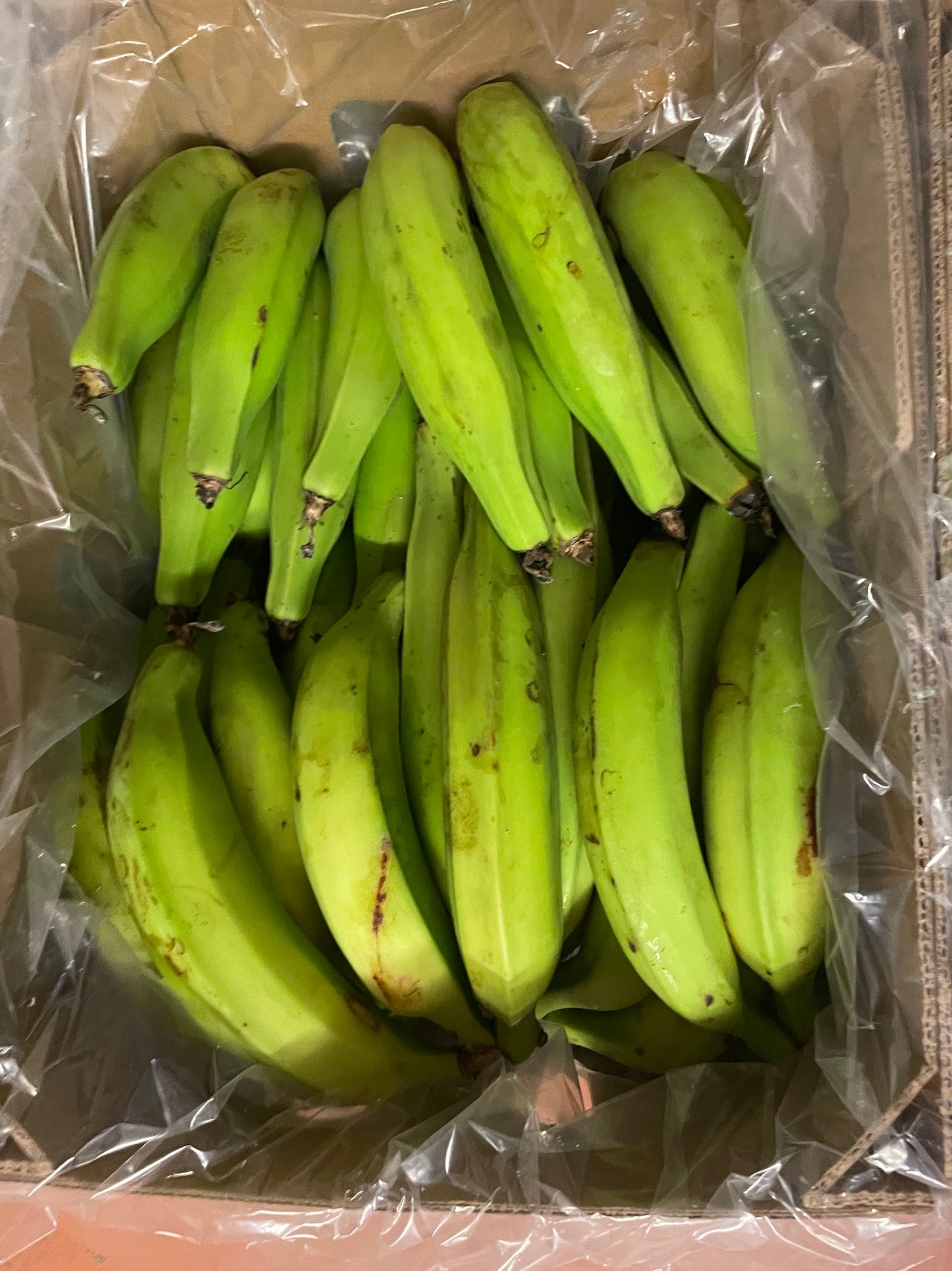 Horn Plantain - Premium - Fruit Forest Farms (12kg)