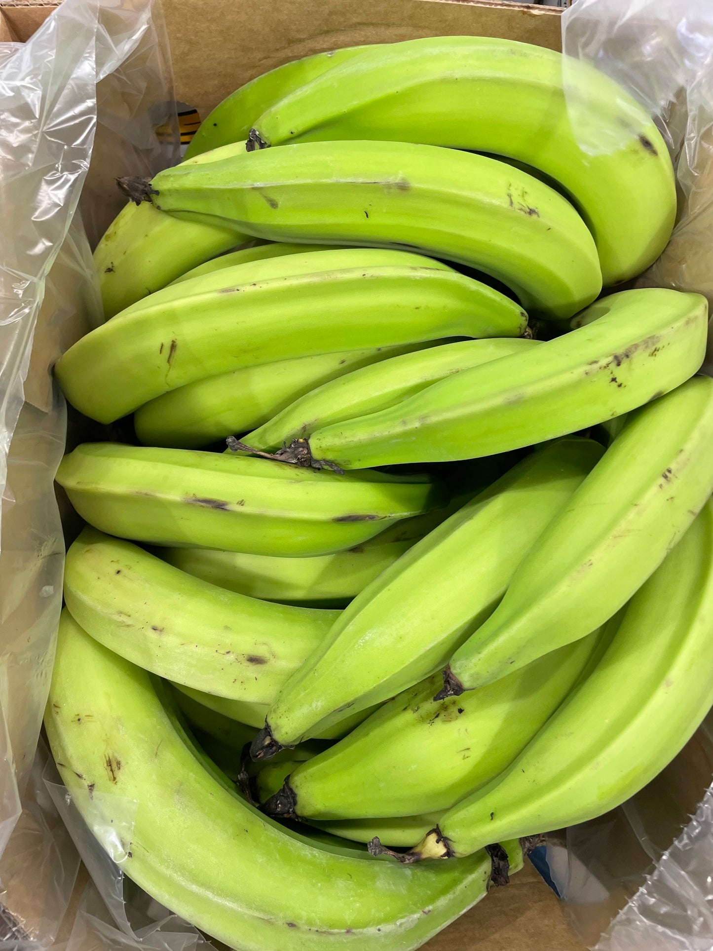 Horn Plantains - Class 1 - Green (12kg)