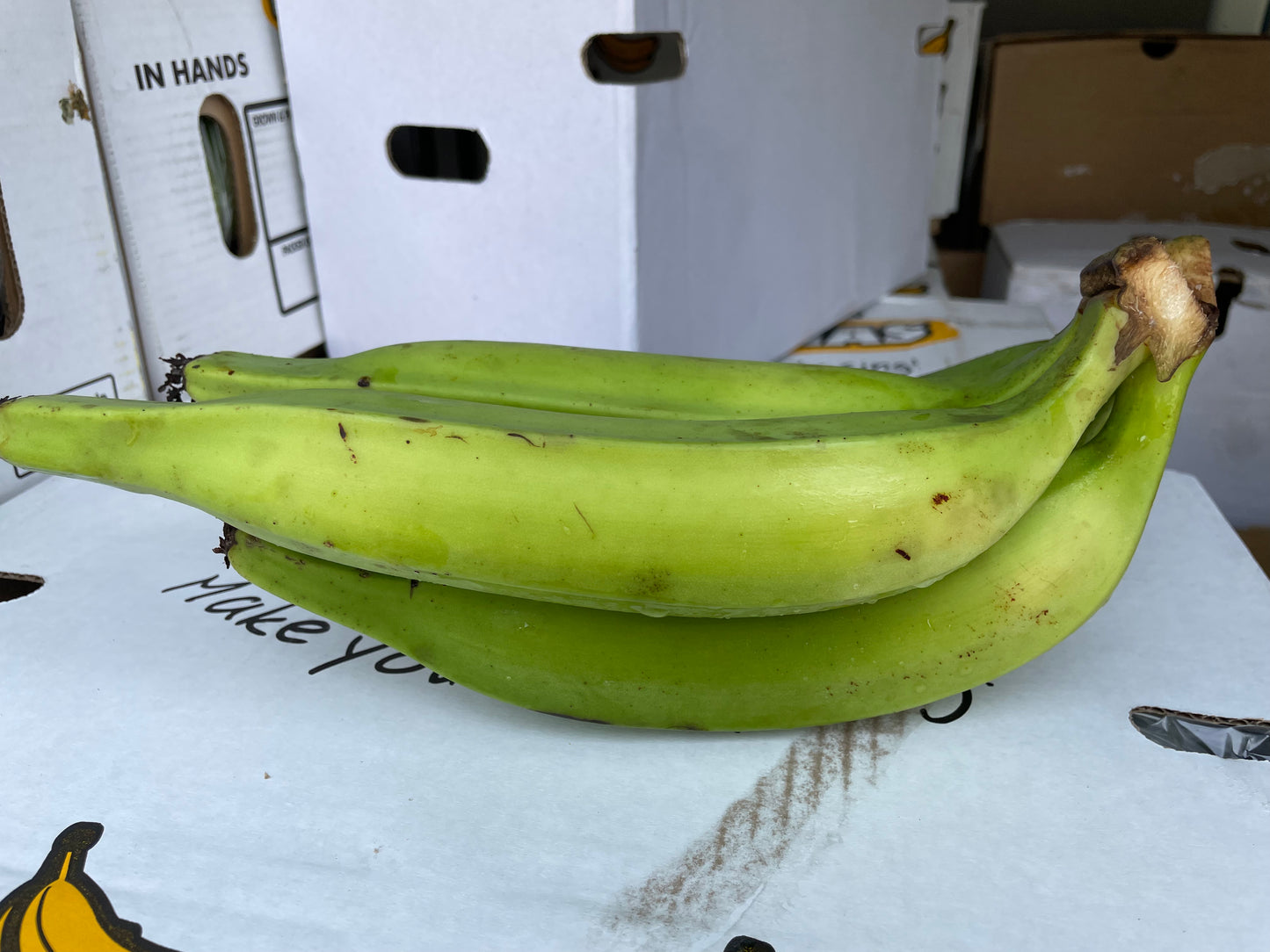 Horn Plantains - Class 1 - Green (12kg)