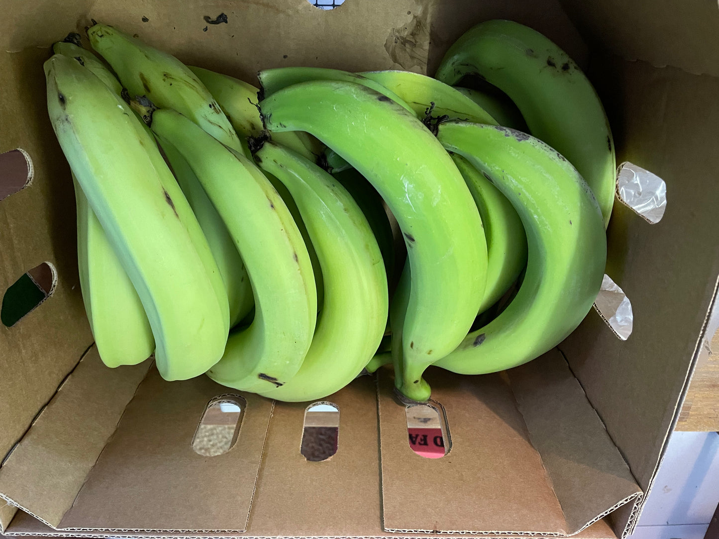 Horn Plantain Class 1 (6kg)