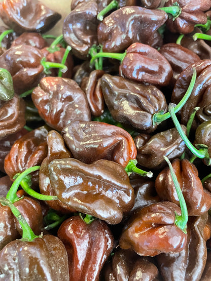Chilli - Habanero - Chocolate (500gm)