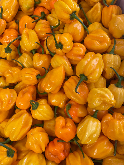 Chilli - Habanero - Yellow (500gm)