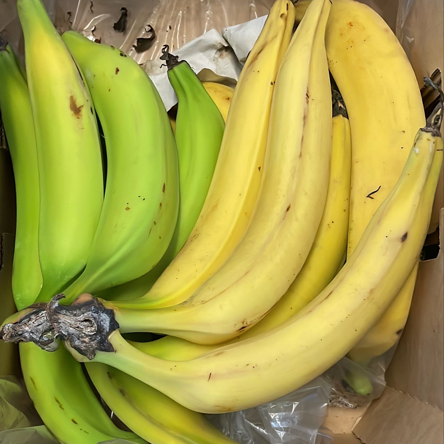 *Free Horn Plantain (1kg) *Use discount code “Free”