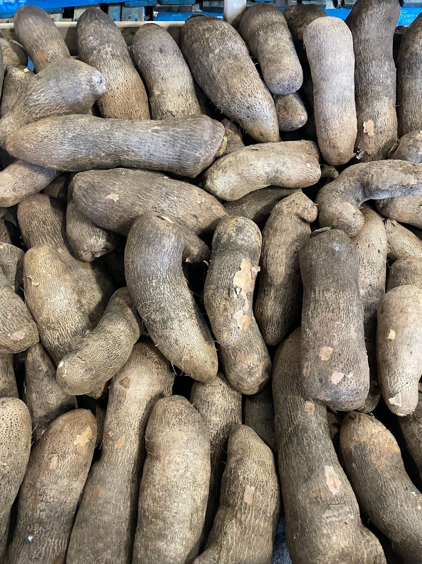 White (African) Yam