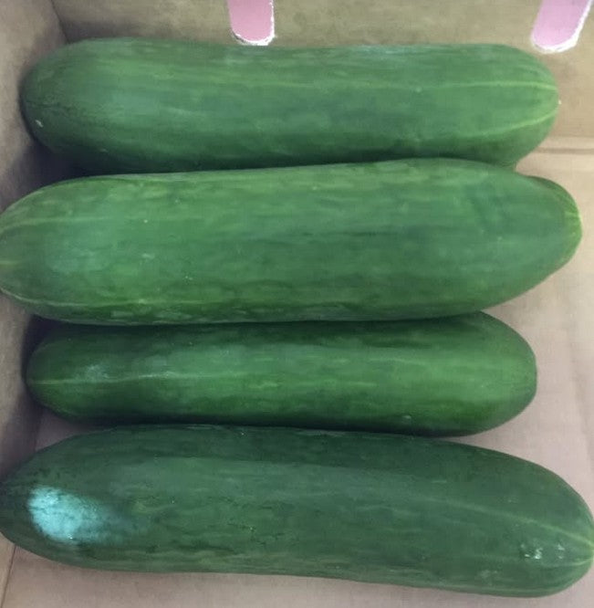 Cucumber - Lebanese (1kg)