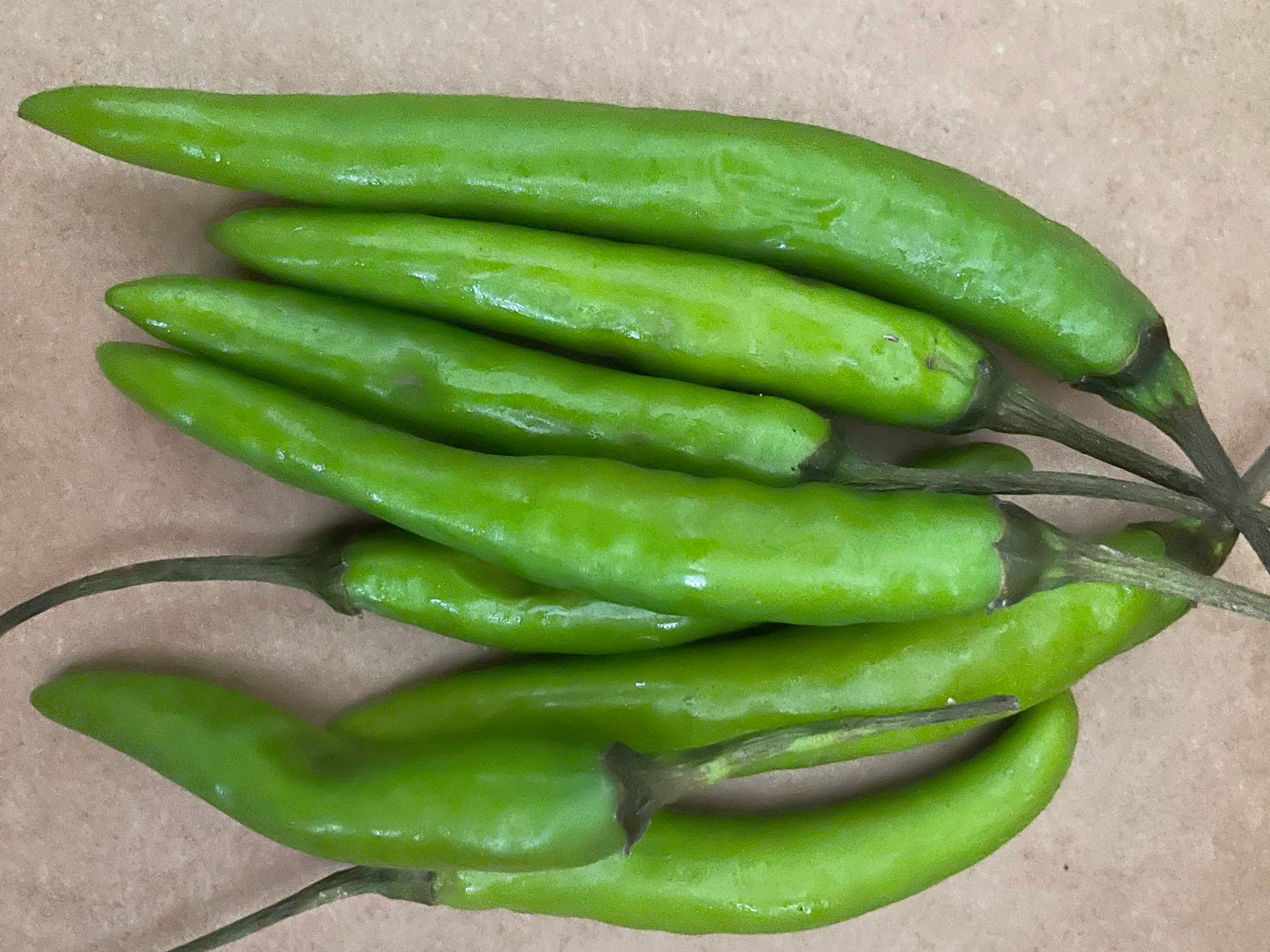 Chilli - Thai Green (100gm)