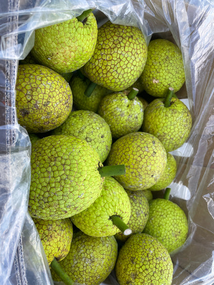 Breadfruit - Cannonball (1kg) - Available in Jan & Feb