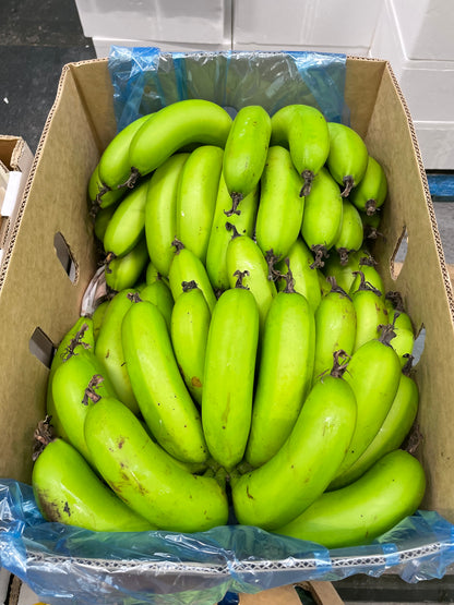 Pacific Plantains (12kg)