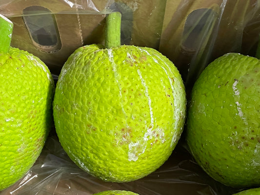 Breadfruit - Large - Premium  (6kg) (Available now)