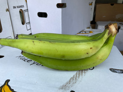 Horn Plantains - Class 1 - Green (12kg)