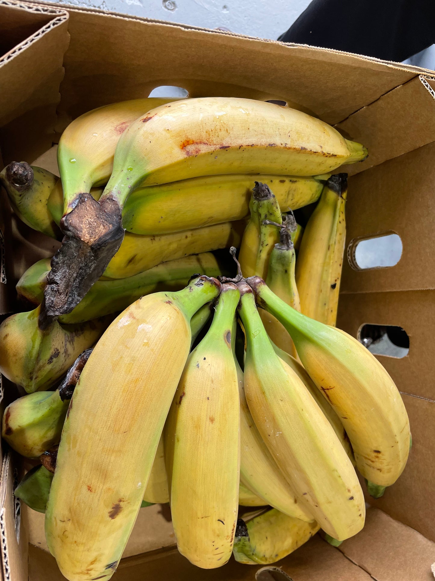 Premium horn plantains in cardboard delivery box - fresh ripe plantains Brisbane Favu