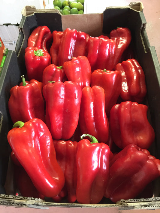 Capsicum - Red (1kg)