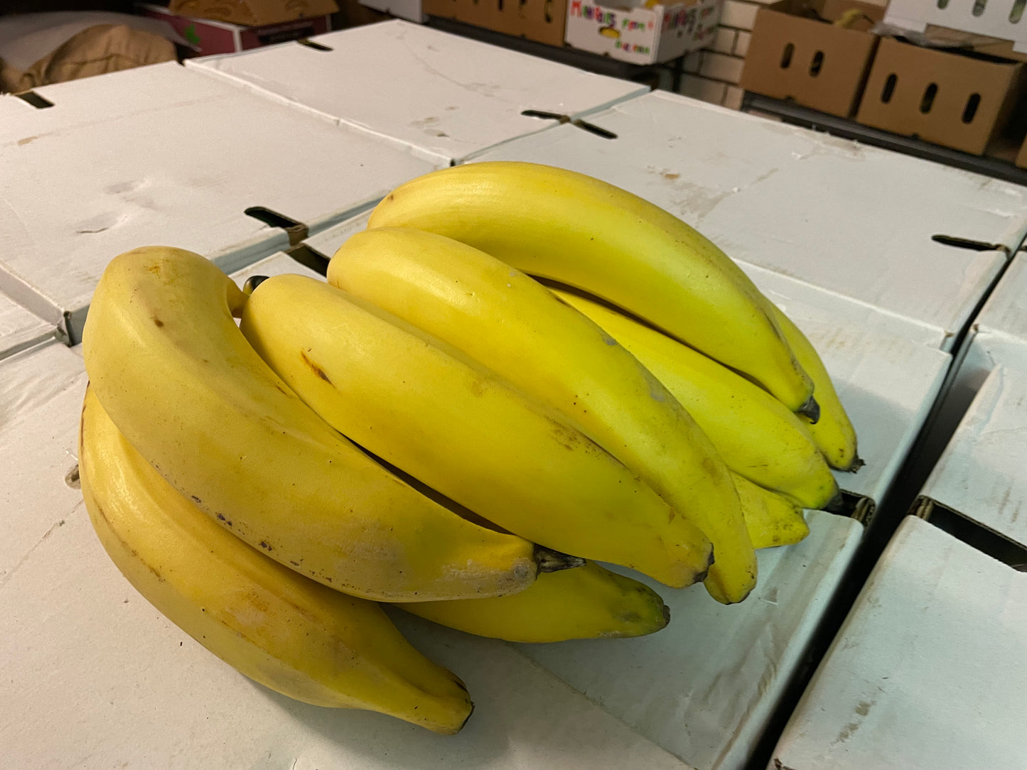 Class 1 yellow horn plantains bunch from farm in North Queensland - order online Brisbane favu.com.au