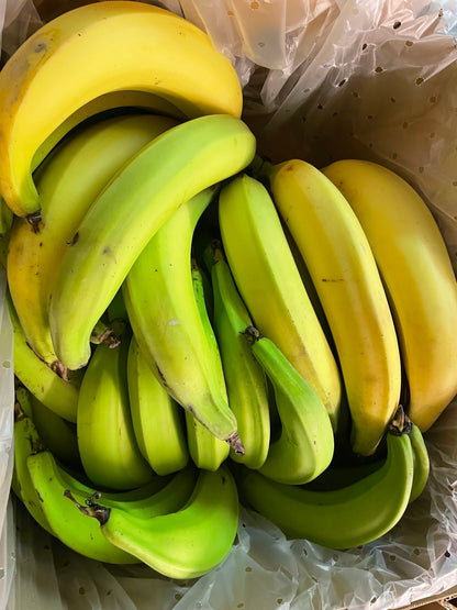 Green and yellow ripening horn plantains showing ripeness stages - buy online Brisbane