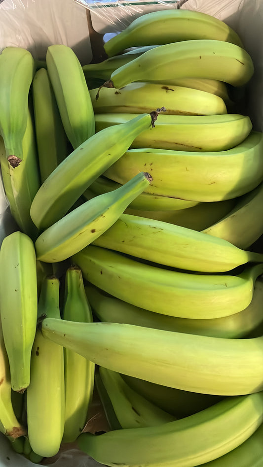 Horn Plantain - Class 1 (13kg Box)