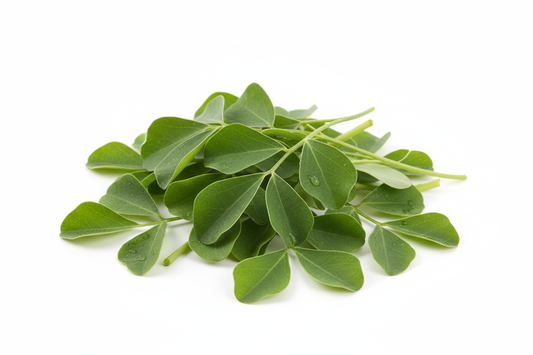 Fresh fenugreek methi leaves, vibrant green color, clean white background, professional food photography style