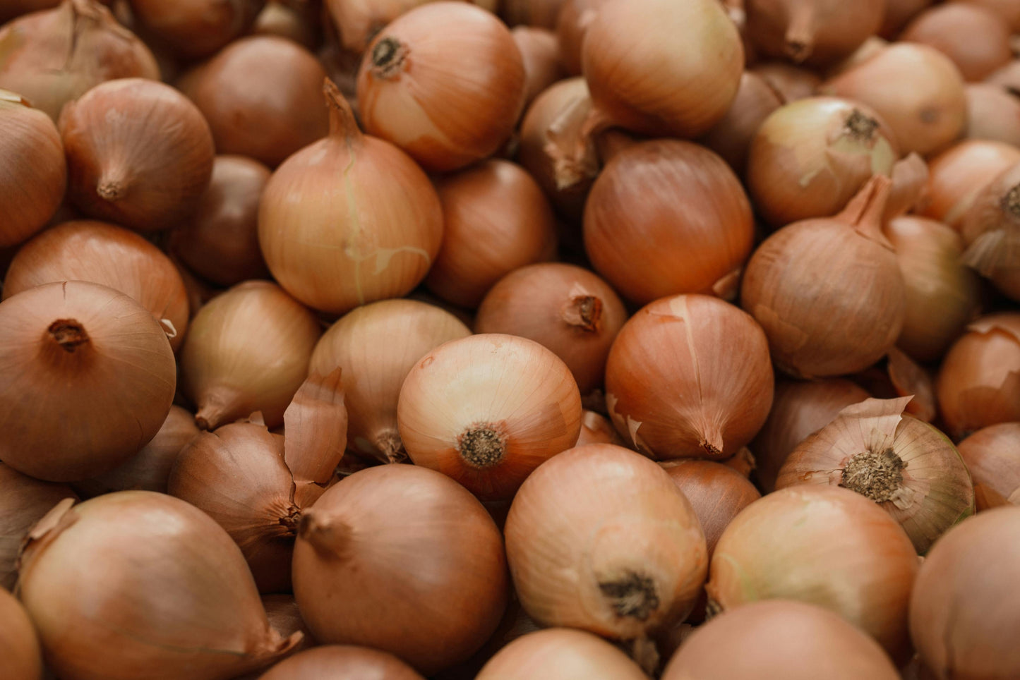 Onion - Brown (1kg)