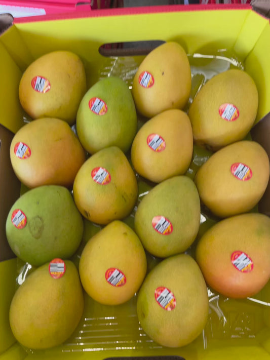 Mango - Kensington Pride - 1kg
